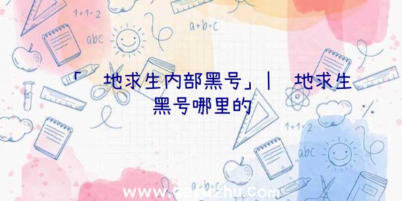 「绝地求生内部黑号」|绝地求生黑号哪里的